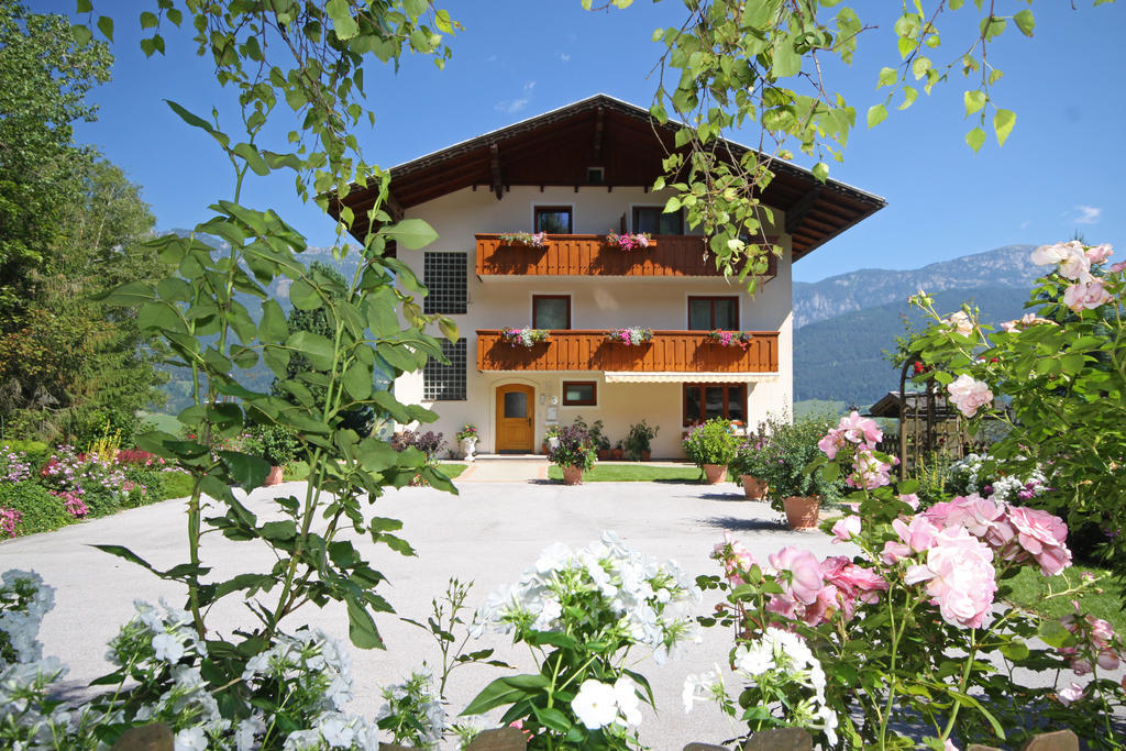 Rosspointnerhof Otel Haus im Ennstal Dış mekan fotoğraf