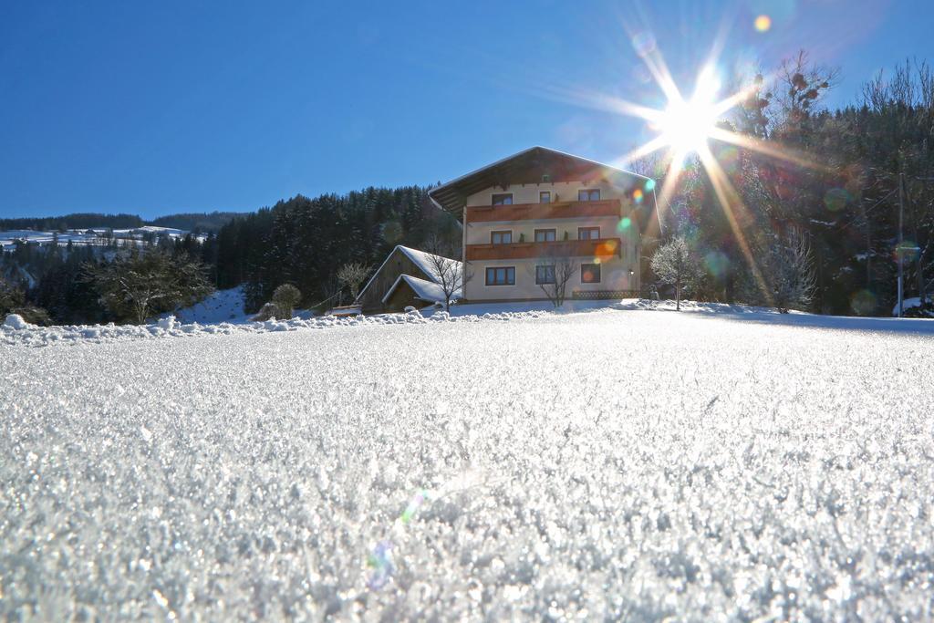 Rosspointnerhof Otel Haus im Ennstal Dış mekan fotoğraf